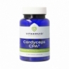 Vitakruid Cordyceps CPA3 mycelium extract 12:1