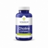 Vitakruid Choline Complex met Inositol, B1, B5, B12 & Folaat