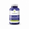 Vitakruid Berberine 500 Rebersa 97-102% berberine zouten