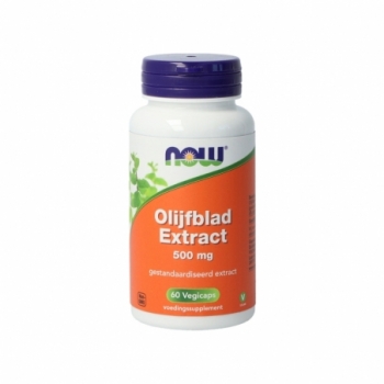 NOW Olijfblad extract 500mg