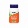 NOW Knoflook extract