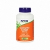 NOW Curcuma longa 500mg (curcumine phytosome)