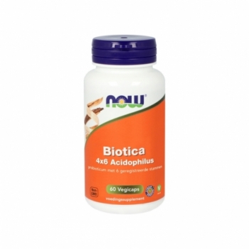 NOW Biotica 4x6 acidophilus