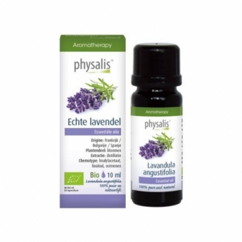 Physalis Lavendel echte bio