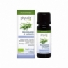 Physalis Rozemarijn ct. verbenon bio