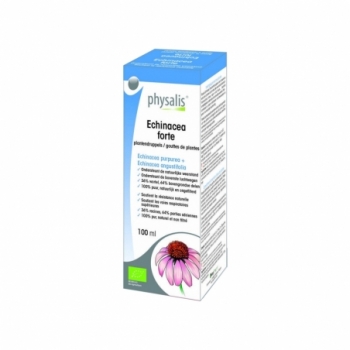 Physalis Echinacea forte...