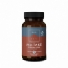 Terranova Fermented maitake