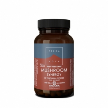 Terranova Mushroom synergy...