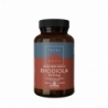 Terranova Rhodiola 300mg