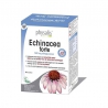 Echinacea forte