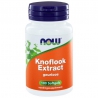 Knoflook extract