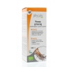 Panax ginseng