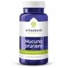 Mucuna pruriens 500 mg (min. 20% L-Dopa)