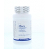 Maca