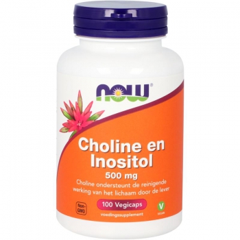 Choline en inositol 500 mg