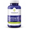 Vitamine B3 Niacinamide 500 mg