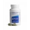 Porphyra/porfyra zyme