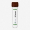 Galzuren