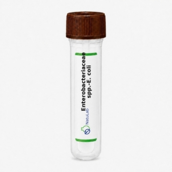 Enterobacteriaceae spp./E....