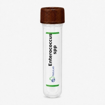 Enterococcus spp.