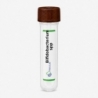 Bifidobacterium spp.