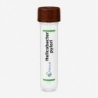 Helicobacter pylori