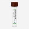 Candida & glutenmarkers