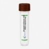 Darmmicrobioom (16S rRNA sequencing)