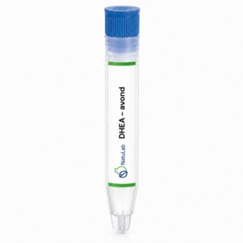 DHEA – laat in de avond