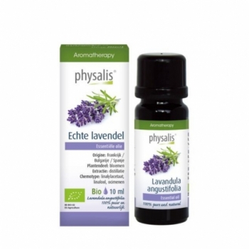Physalis Lavendel echte bio