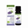 Physalis Lavendel echte bio