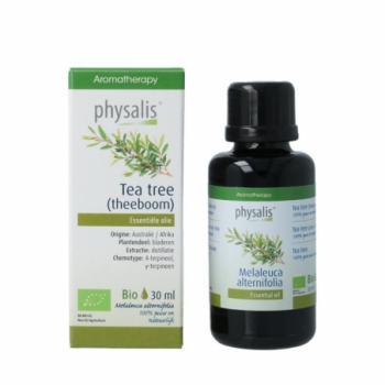 Physalis Tea tree bio