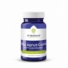 Vitakruid Vitex agnus castus 200mg monnikspeper
