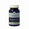 Vitakruid B12 Forte Plus 3.000 met P-5-P