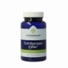 Vitakruid Cordyceps CPA3 mycelium extract 12:1