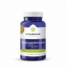 Vitakruid Geheugenformule oa Bacopa monnieri Citicoline OPC