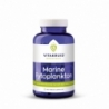 Vitakruid Marine fytoplankton met oa klamath, wakame extract