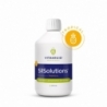 Vitakruid SilSolutions tropical 500