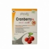 Physalis Cranberry +