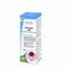 Echinacea forte plantendruppels bio