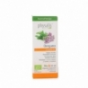 Physalis Oregano bio