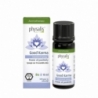 Synergie good karma bio