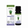Vetiver bio