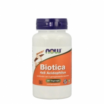 NOW Biotica 4x6 acidophilus