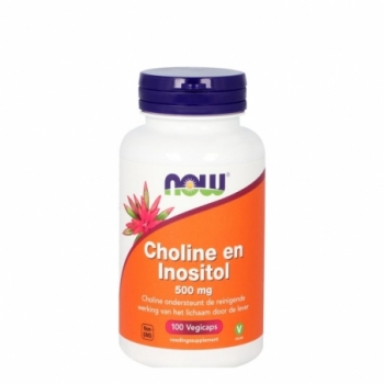 NOW Choline en inositol 500mg