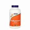 NOW Psylliumvezels 500mg