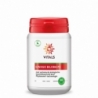 Vitals Ginkgo biloba PS 480 mg