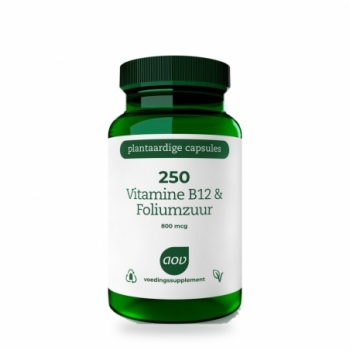 250 Vitamine B12 & foliumzuur
